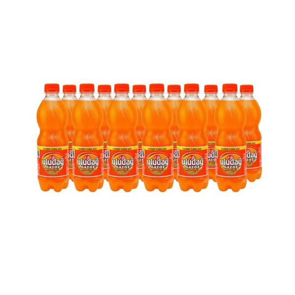 Uludag Orange - 12x 500ml EINWEG